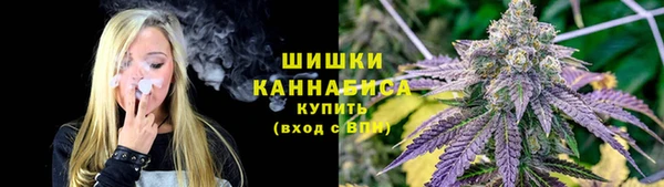 твердый Инта