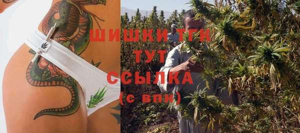 дживик Иннополис