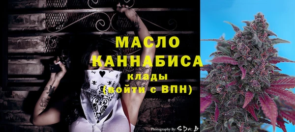 твердый Инта
