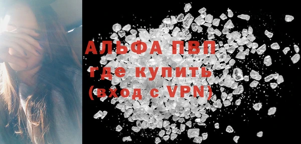 твердый Инта