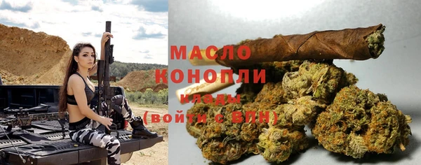 твердый Инта