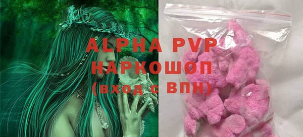 твердый Инта