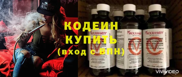 твердый Инта