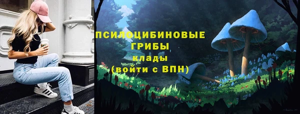 дживик Иннополис
