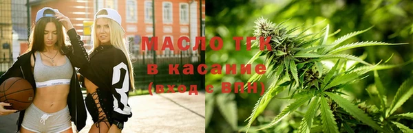 твердый Инта