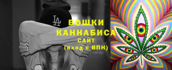 твердый Инта