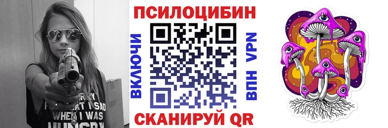 Галлюциногенные грибы Psilocybine cubensis  Купить  Инсар 